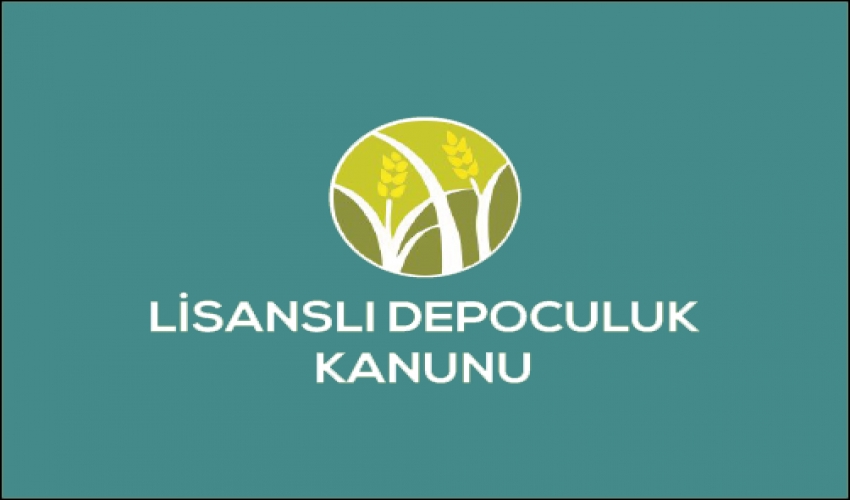 Lisanslı Depoculuk Nedir?
